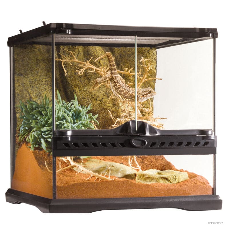 Online reptile pet top store